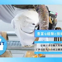 画像237