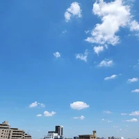画像354