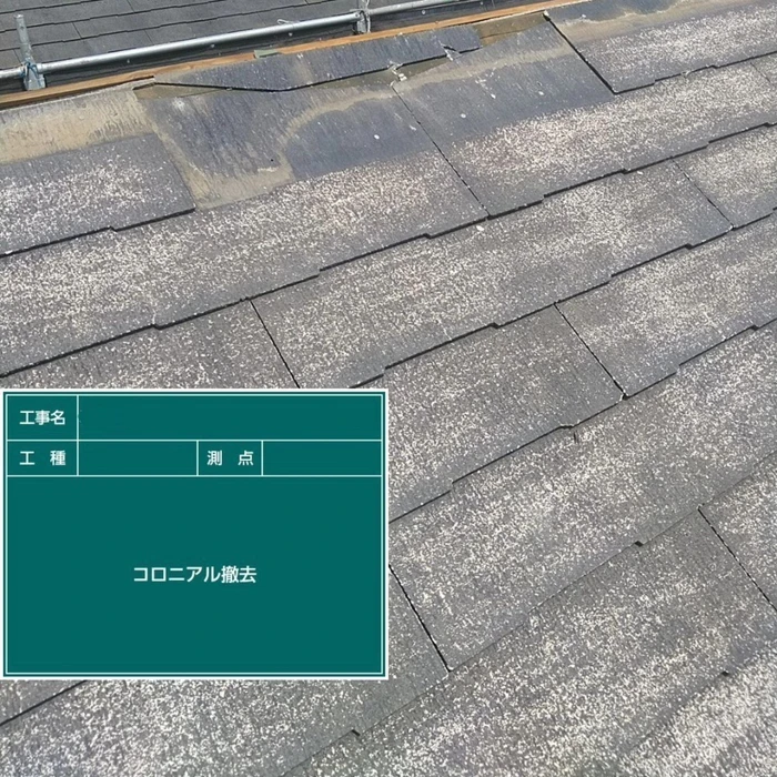 画像407
