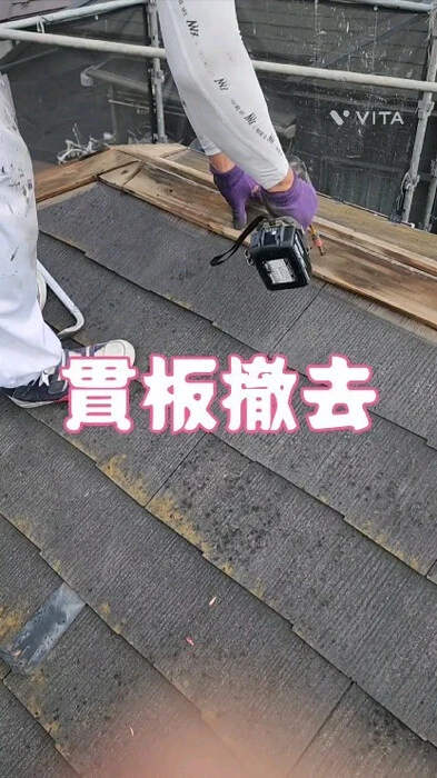 画像460