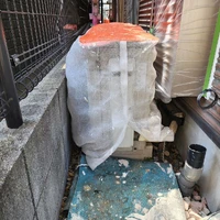 画像524