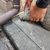 画像586